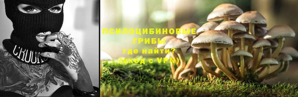 стаф Арсеньев