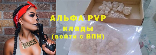 стаф Арсеньев