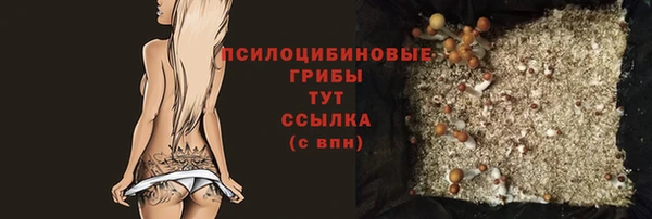 стаф Арсеньев