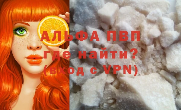 стаф Арсеньев