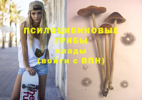 трава Армянск