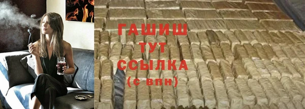 стаф Арсеньев