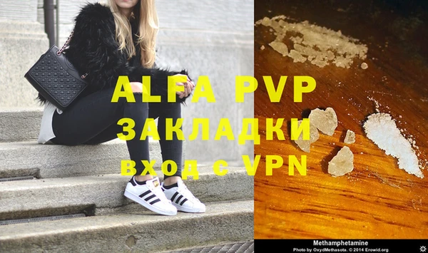 стаф Арсеньев