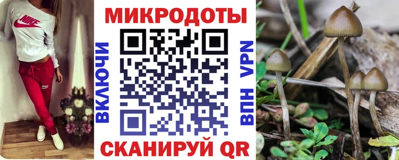 Галлюциногенные грибы MAGIC MUSHROOMS это клад Межгорье сколько стоит