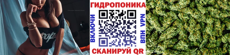 Канабис конопля  Межгорье 
